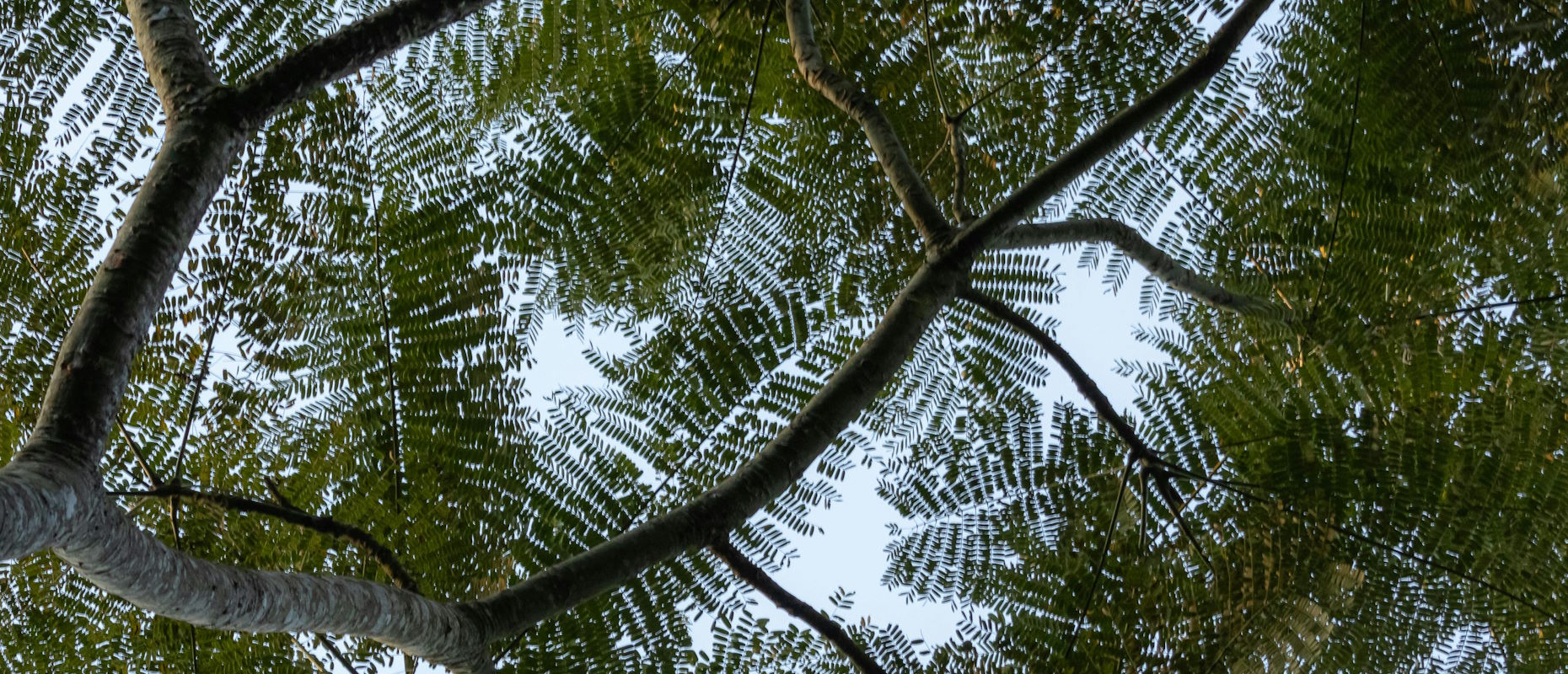 A Importância das Finanças Sustentáveis para o Futuro dos Investimentos