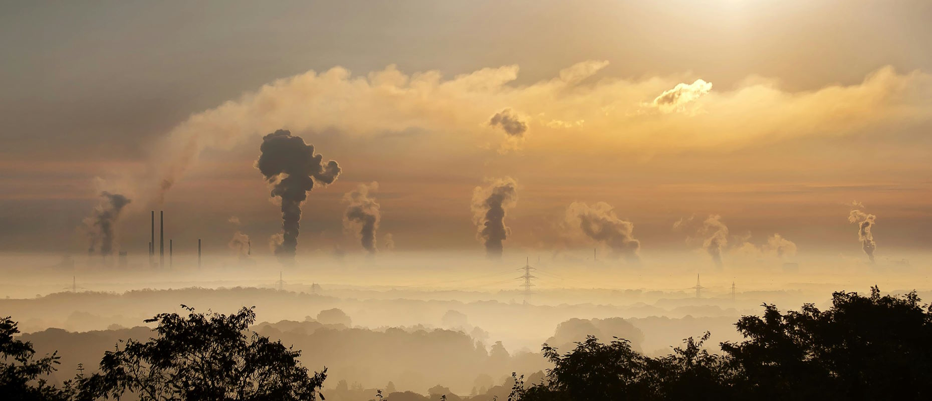 Nova Resolução CVM 223: Um Marco no Tratamento Contábil de Créditos de Carbono e CBIOs