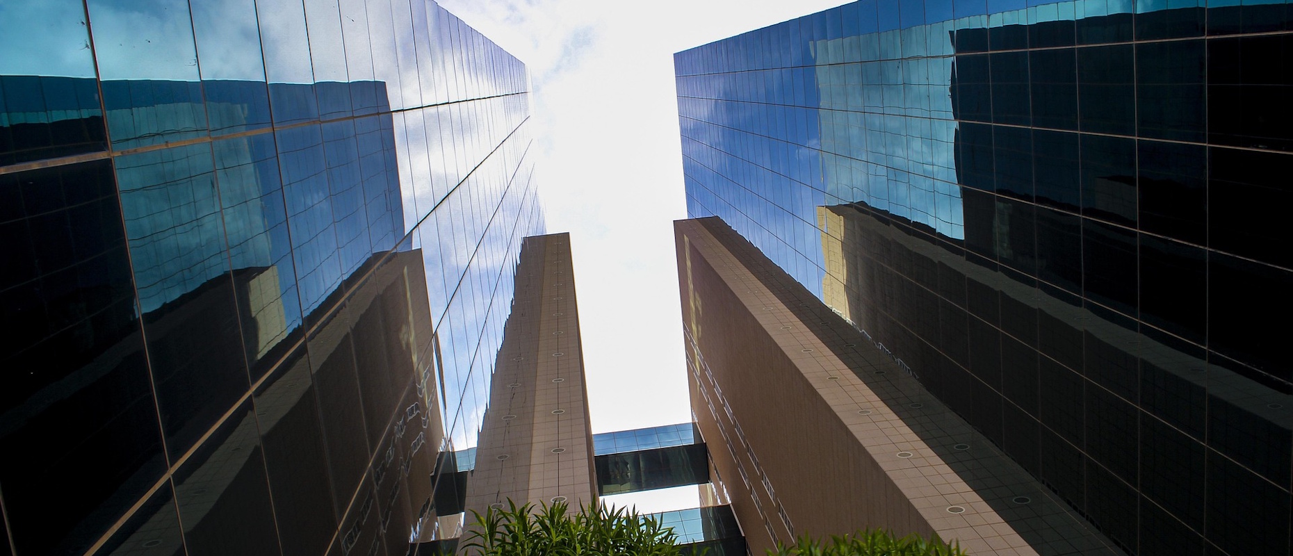Por que o Processo Decisório Organizacional Importa para a Governança Corporativa?