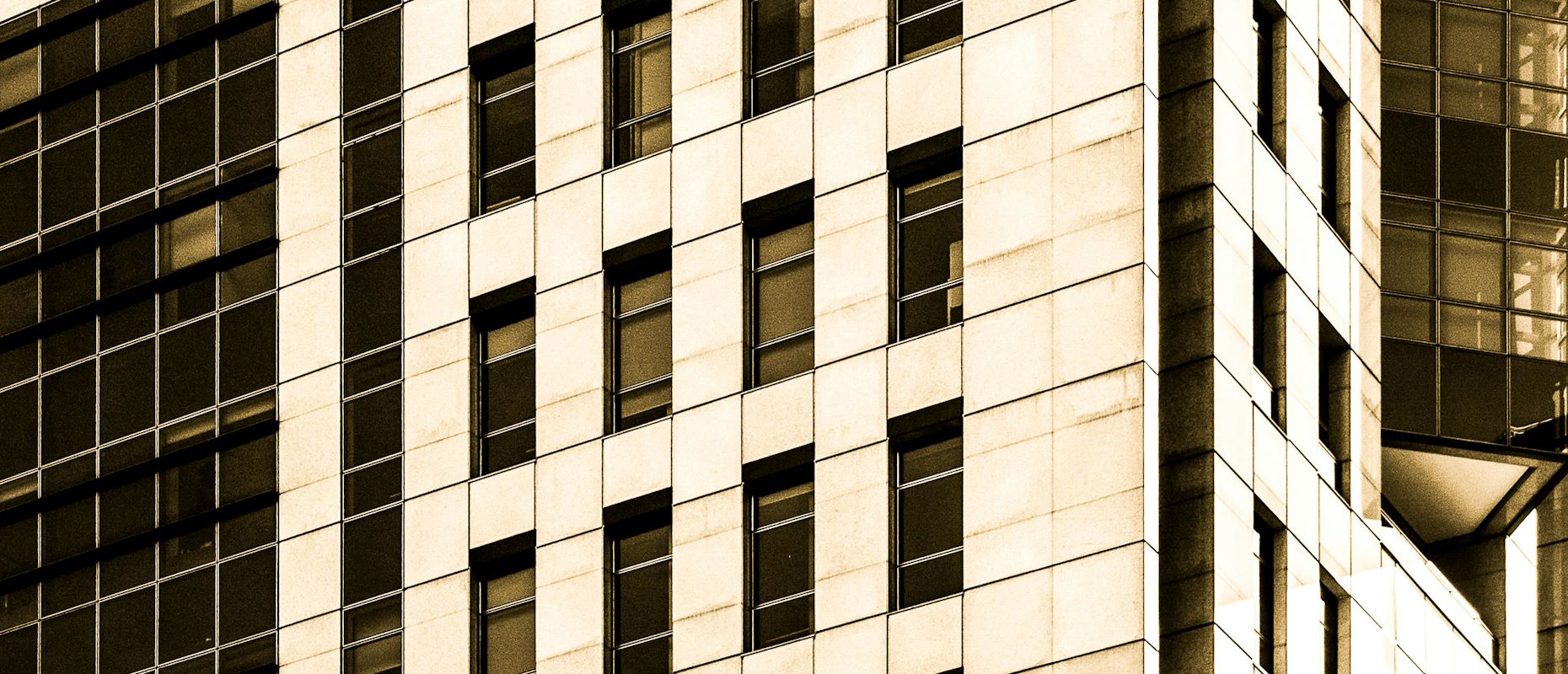 Protegendo seu Negócio: A Crucial Necessidade do Data Protection Officer - DPO