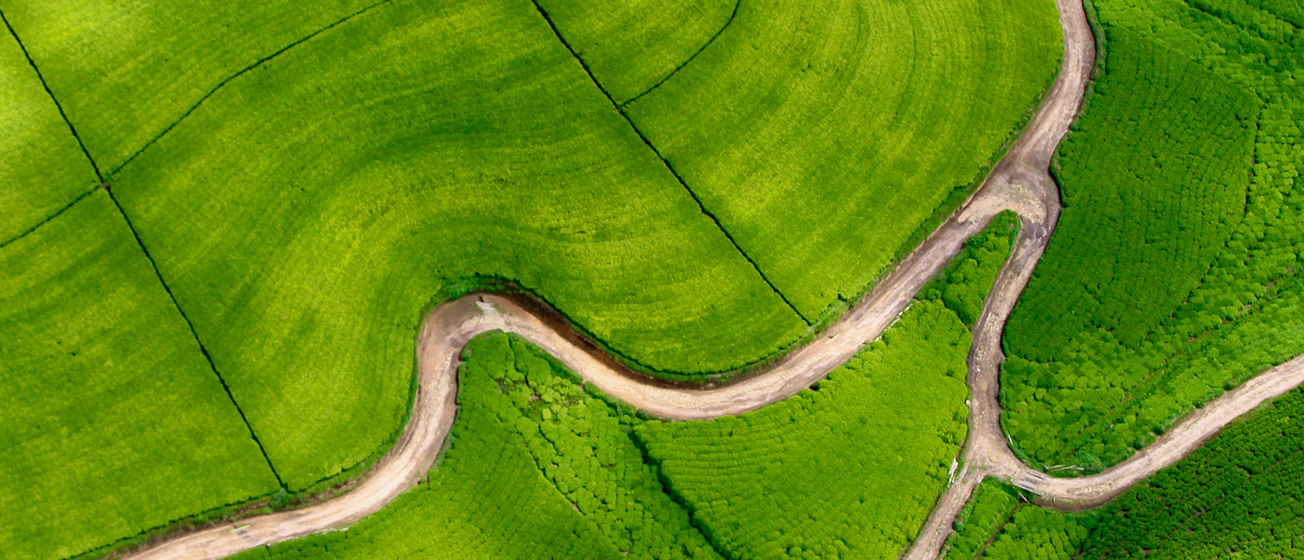 Tendências e Oportunidades da Bioenergia: Insights do Relatório Global de Estatísticas de Bioenergia 2024