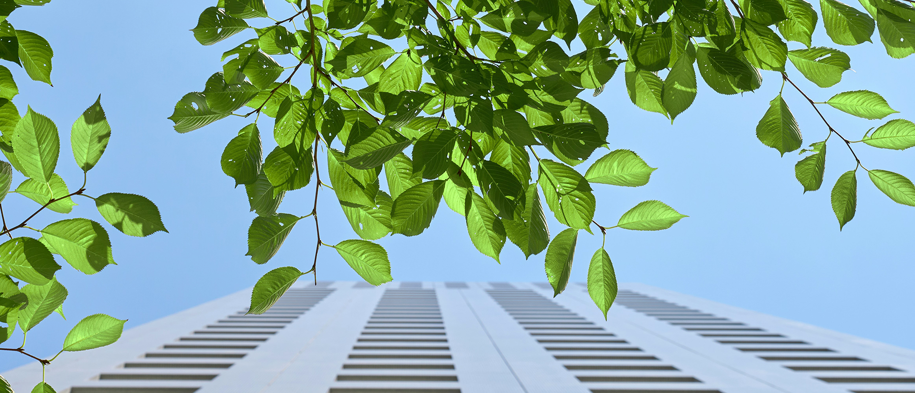 A Inteligência Artificial Está Transformando as Práticas ESG