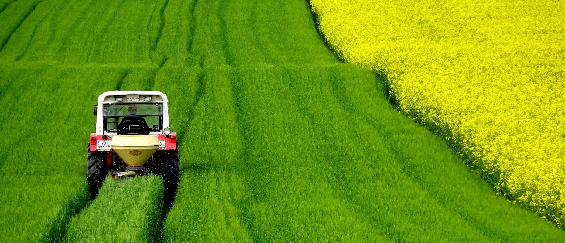 ESG no Agronegócio: Estratégia Antes do Discurso
