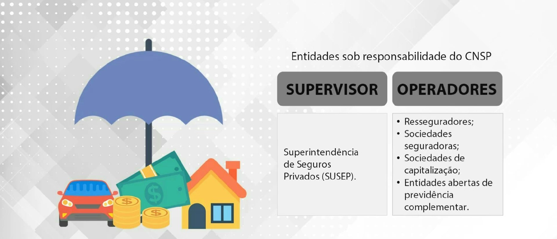 Conselho Nacional de Seguros Privados