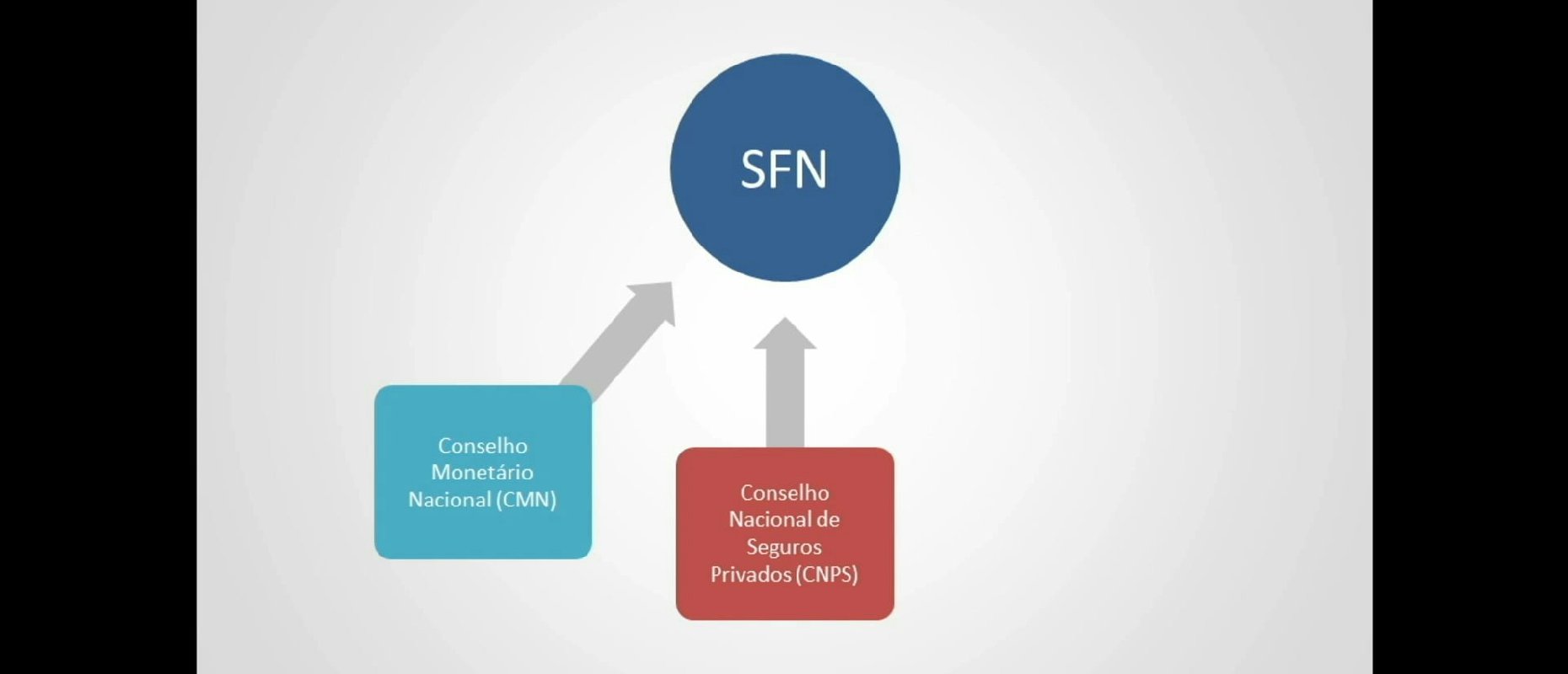 Estrutura e entidades do SFN